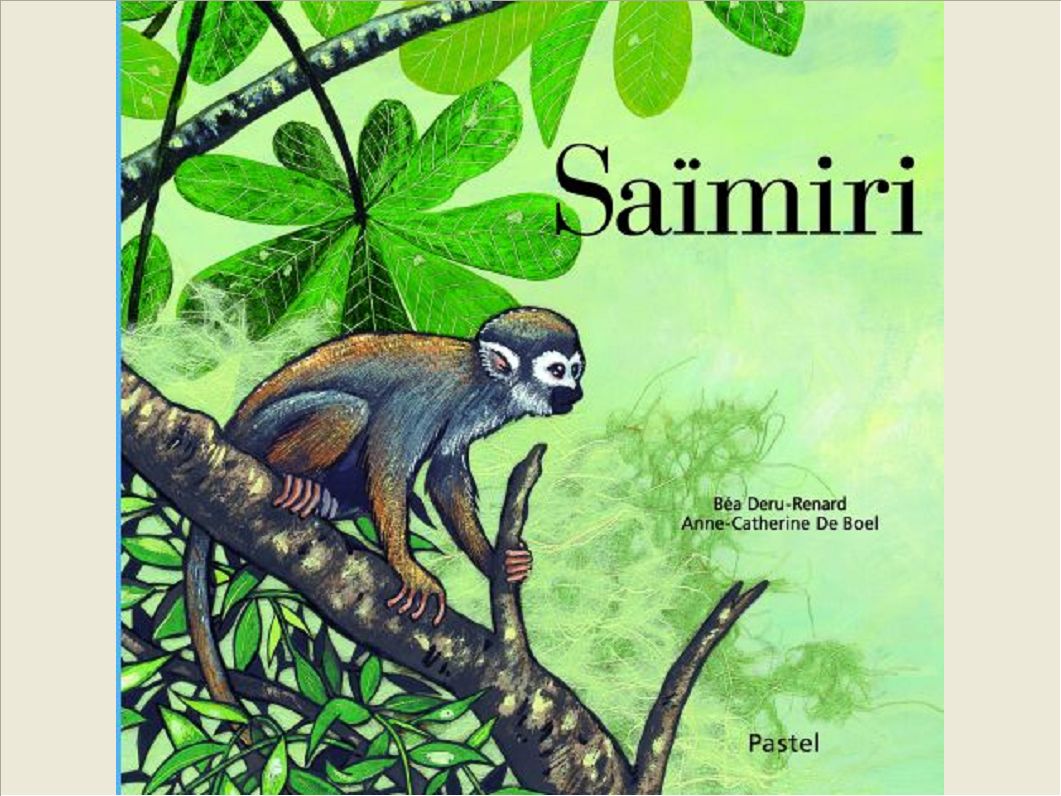 SAIMIRI