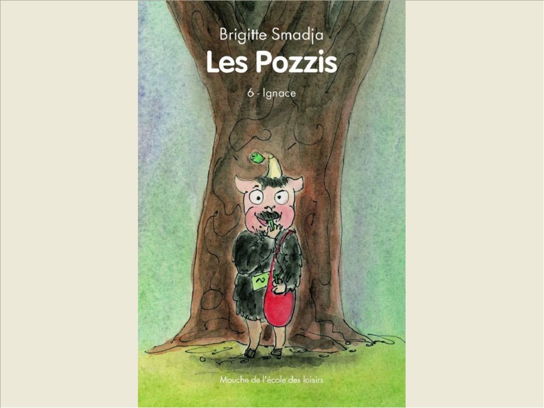 POZZIS VI IGNACE