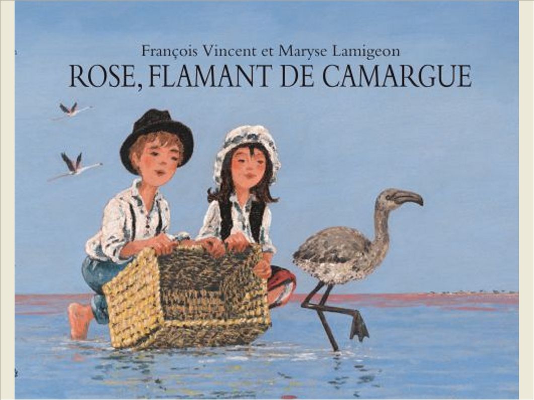 ROSE FLAMANT DE CAMARGUE
