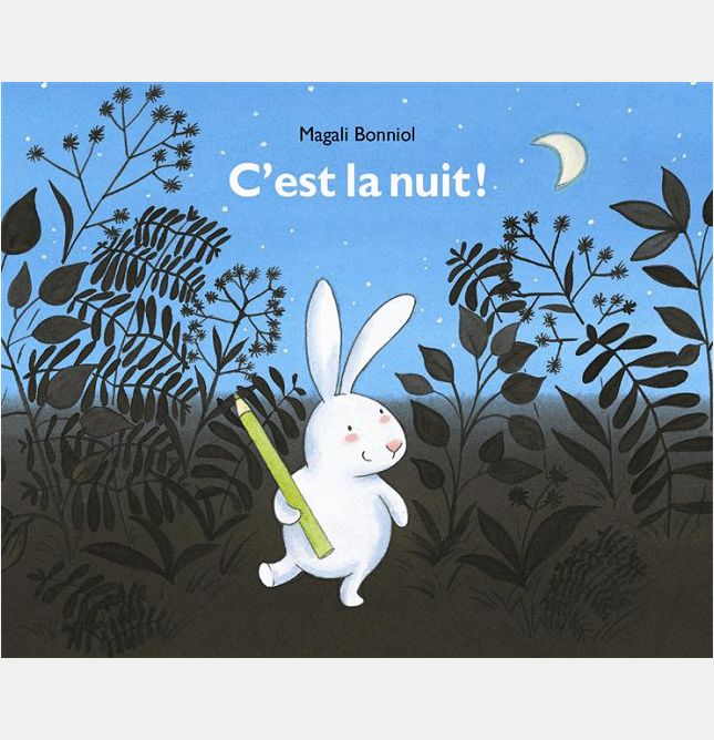 C'EST LA NUIT !