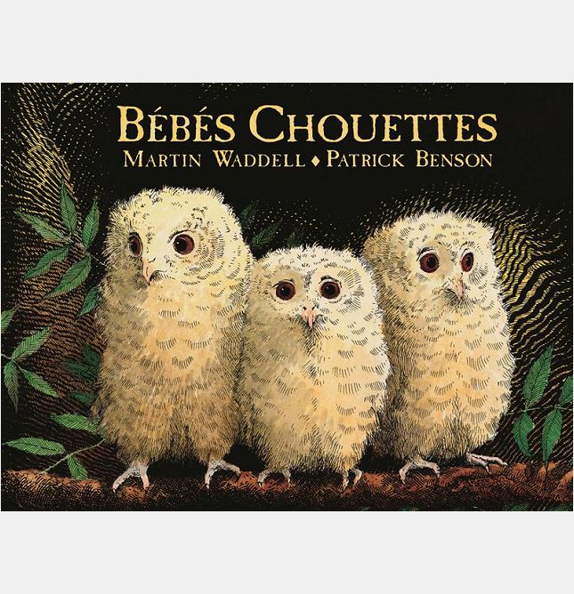 BEBES CHOUETTES (BIBLIO)