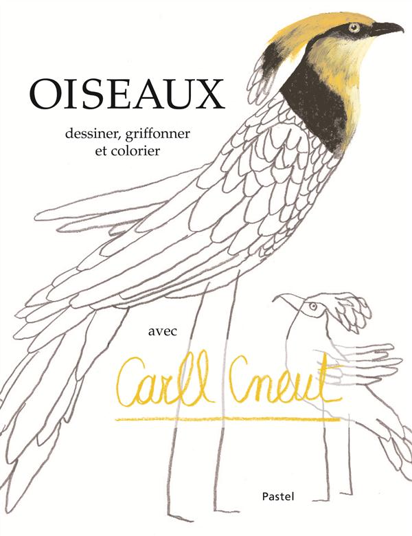 OISEAUX DESSINER, GRIFFONNER ET COLORIER AVEC CARLL CNEUT