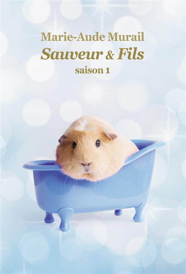 SAUVEUR & FILS SAISON 1 GRAND FORMAT