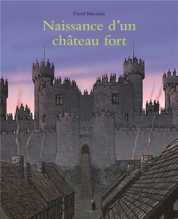 NAISSANCE D UN CHATEAU FORT