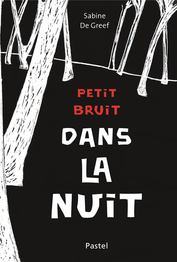 PETIT BRUIT DANS LA NUIT