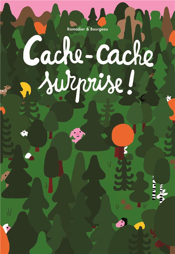 CACHE-CACHE SURPRISE
