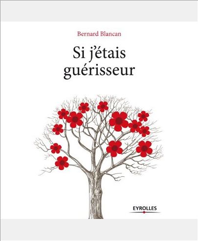 SI J ETAIS GUERISSEUR