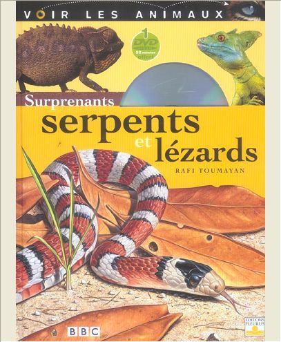 SURPRENANTS SERPENTS ET LEZARDS
