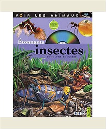 ETONNANTS INSECTES