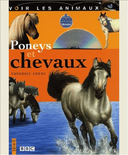 PONEYS ET CHEVAUX