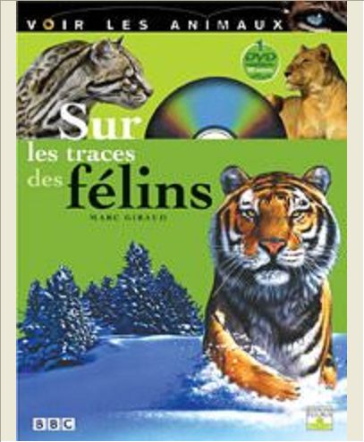 SUR LES TRACES DES FELINS