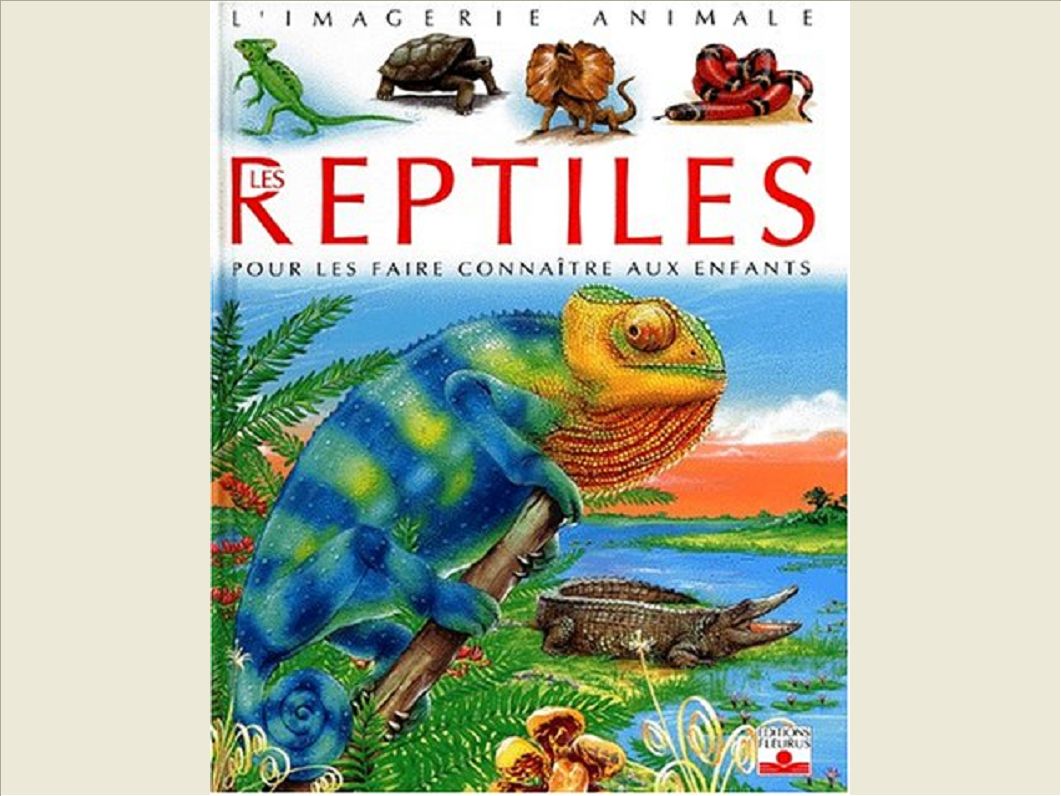 LES REPTILES