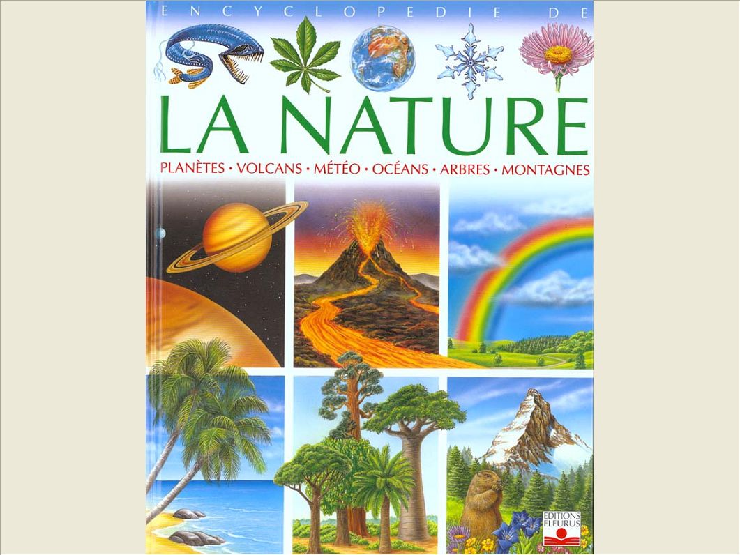 NATURE COMPILATION
