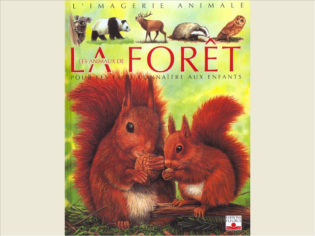 LES ANIMAUX DE LA FORET