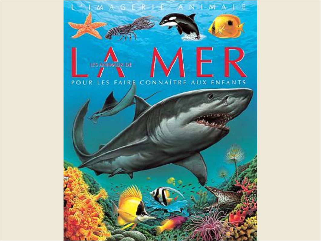 LES ANIMAUX DE LA MER
