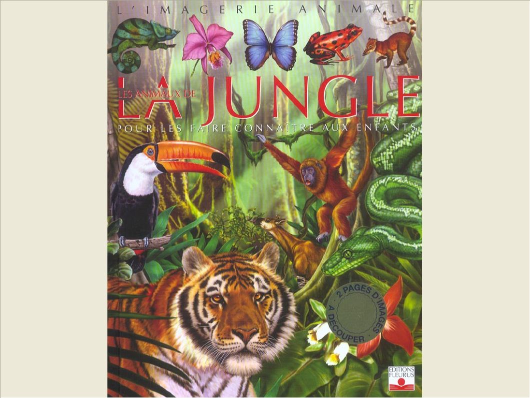 LES ANIMAUX DE LA JUNGLE
