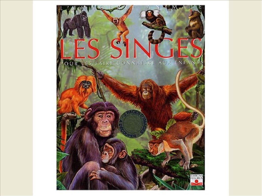 SINGES (LES)