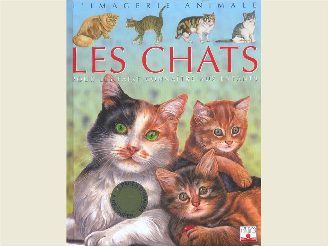 LES CHATS