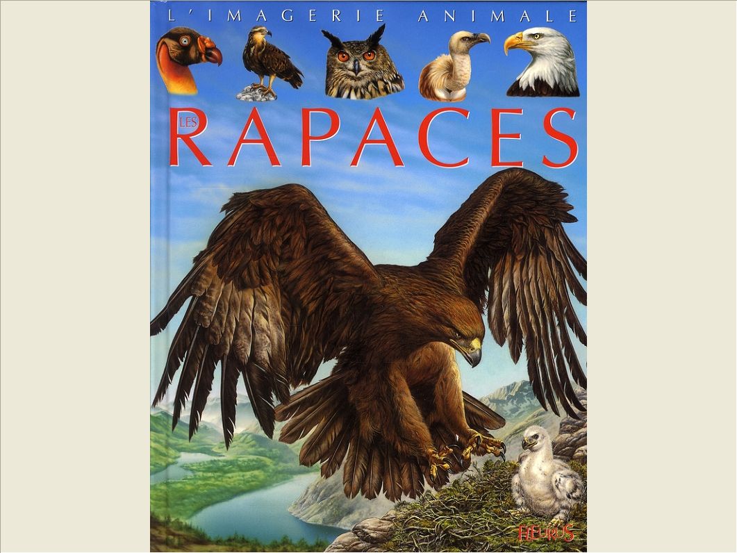 LES RAPACES