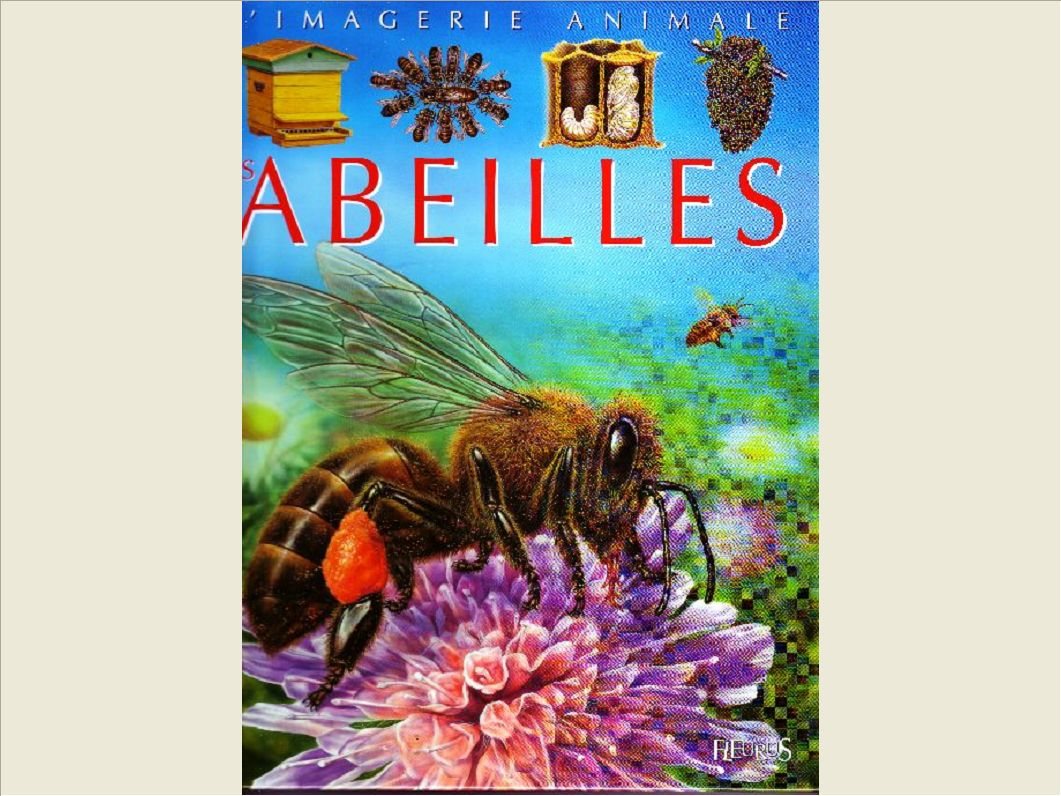 LES ABEILLES