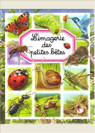 L'IMAGERIE DES PETITES BETES