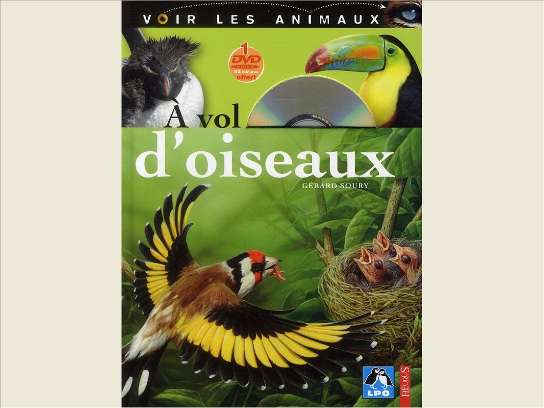A VOL D'OISEAUX