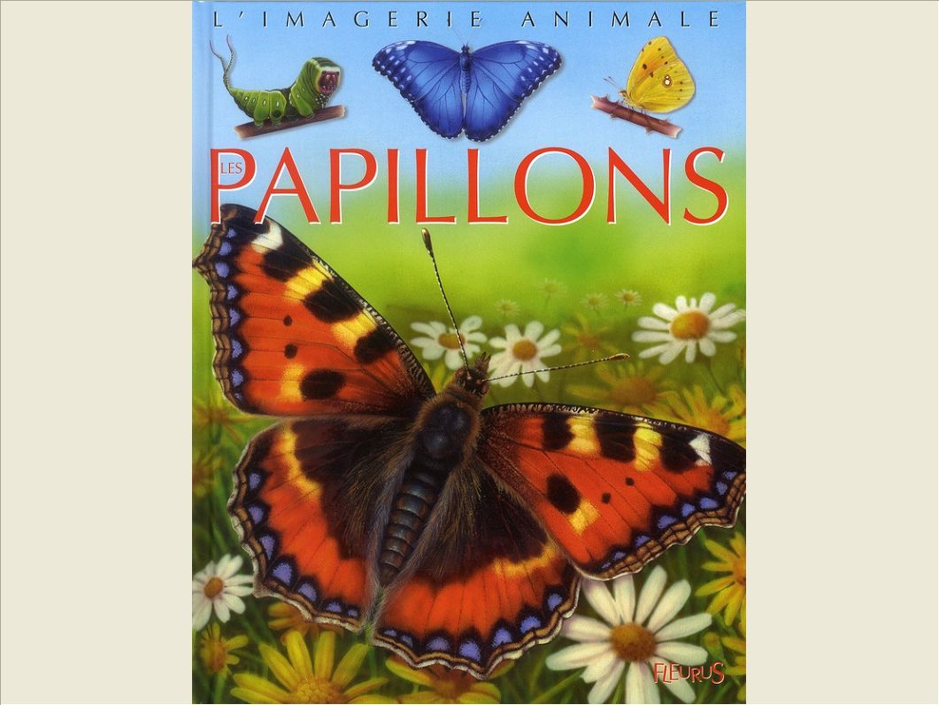 LES PAPILLONS