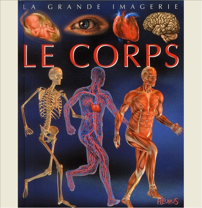LE CORPS