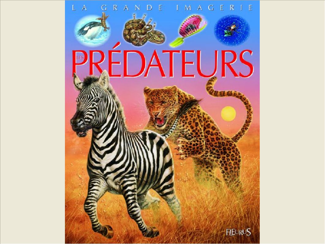 LES PREDATEURS
