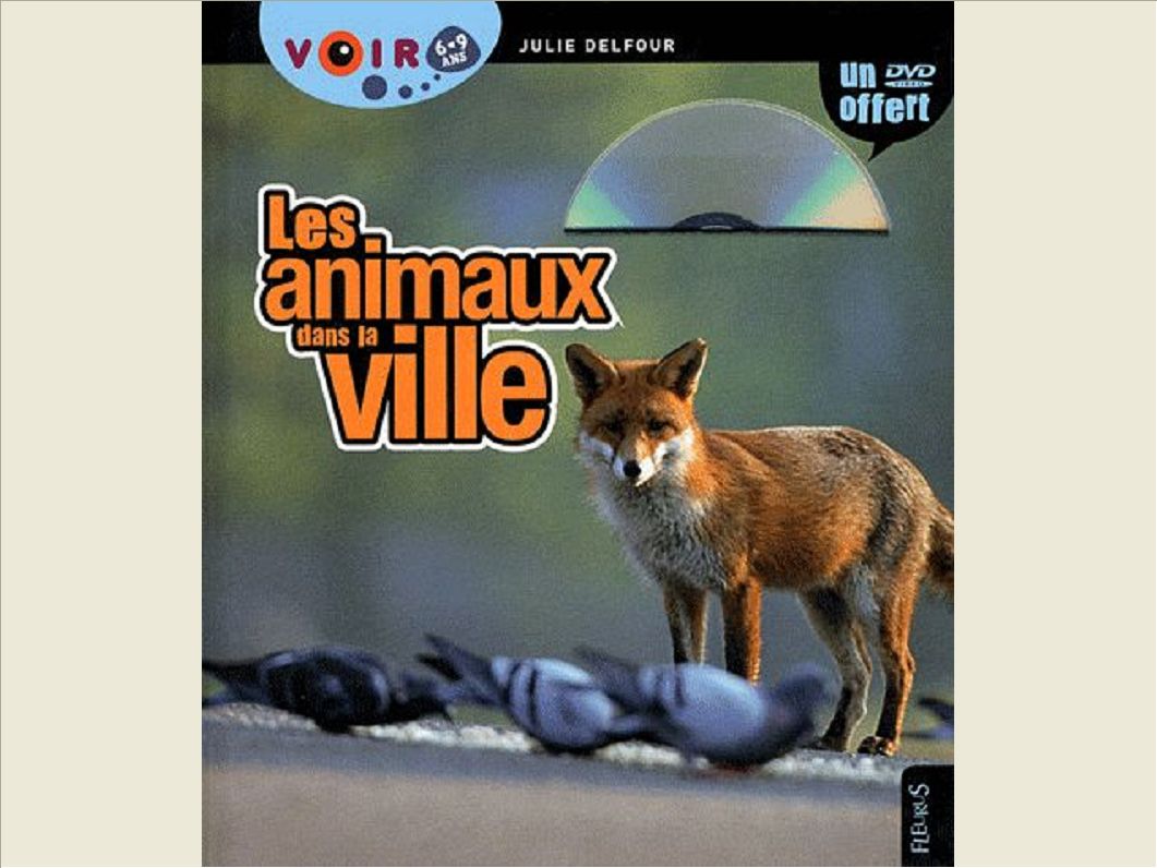 LES ANIMAUX DE LA VILLE