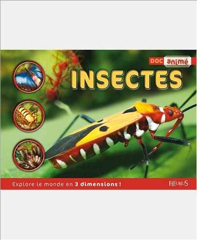INSECTES