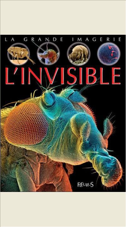 L'INVISIBLE