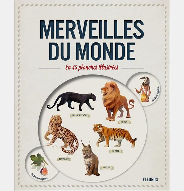 MERVEILLES DU MONDE EN 45 PLANCHES ILLUSTREES