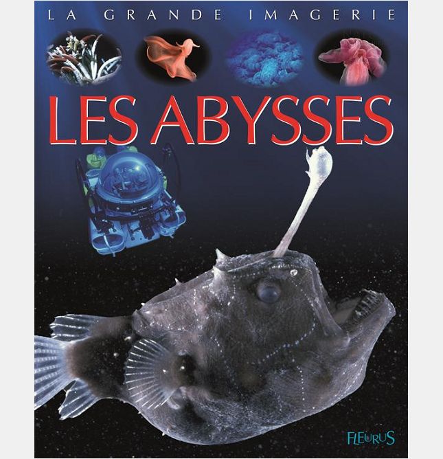 LES ABYSSES