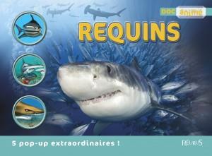 REQUINS