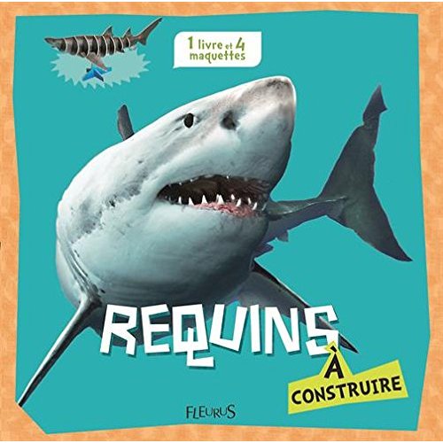 REQUINS A CONSTRUIRE
