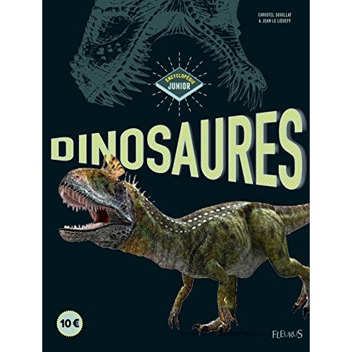 DINOSAURES