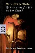 QU'EST-CE QUE J'AI FAIT AU BON DIEU ? - JOB, LA SOUFFRANCE ET NOUS