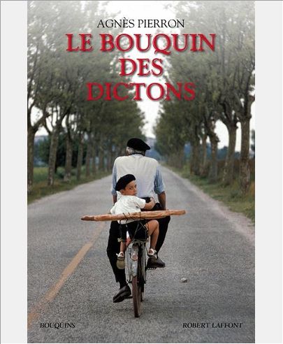 LE BOUQUIN DES DICTONS