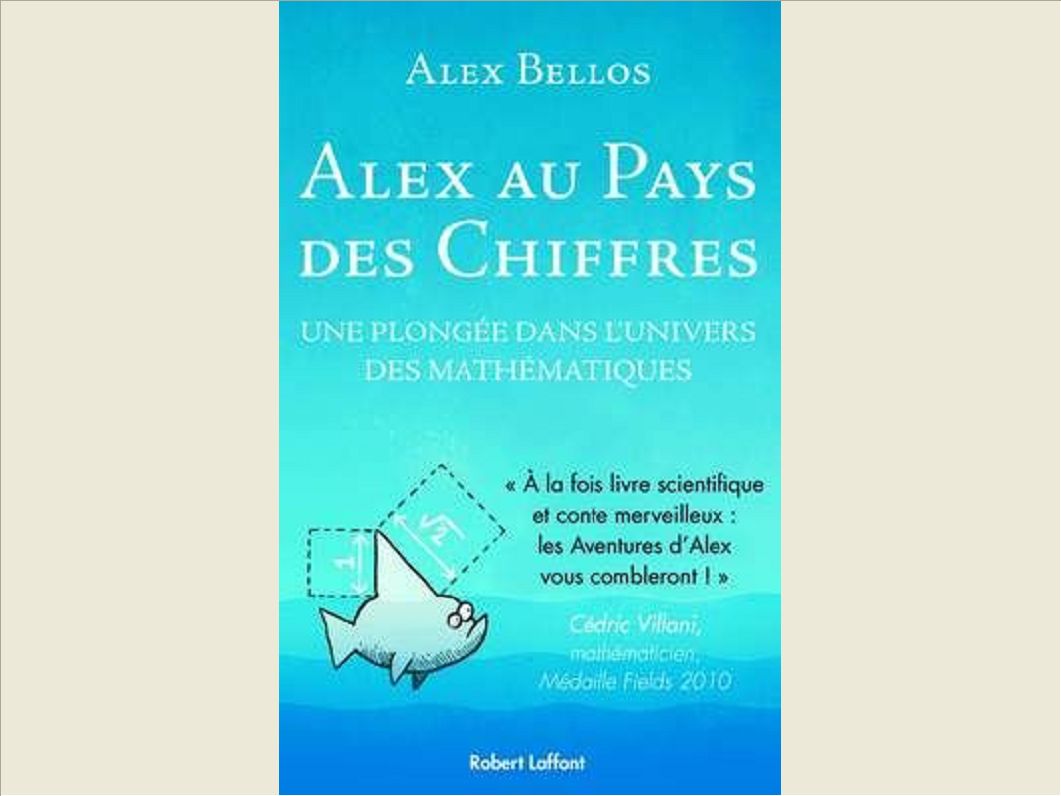ALEX AU PAYS DES CHIFFRES UNE PLONGEE DANS L'UNIVERS DES MATHEMATIQUES