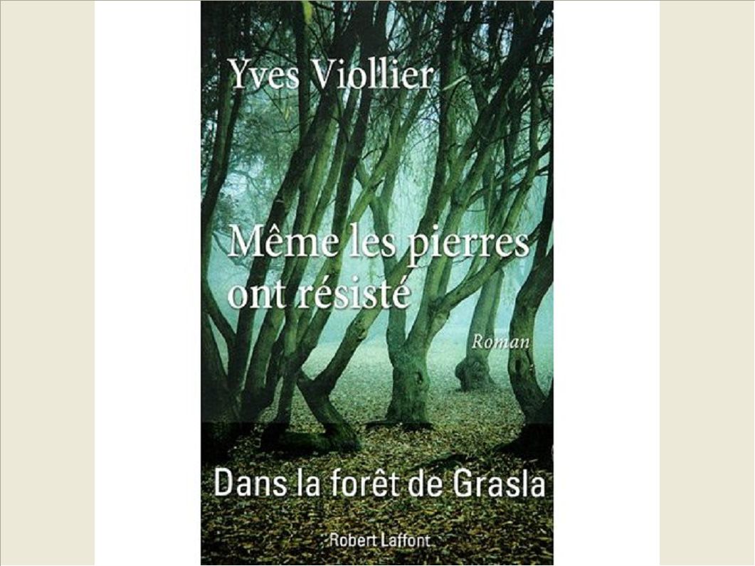 MEME LES PIERRES ONT RESISTE