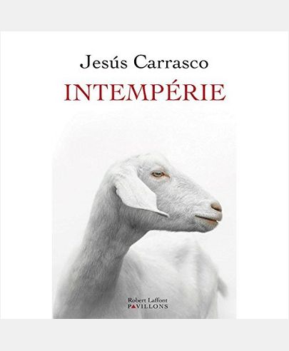 INTEMPERIE