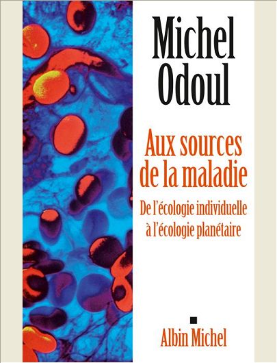 AUX SOURCES DE LA MALADIE - DE L'ECOLOGIE INDIVIDUELLE A L'ECOLOGIE PLANETAIRE