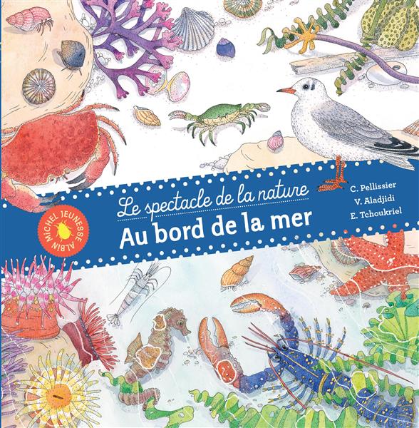 AU BORD DE LA MER
