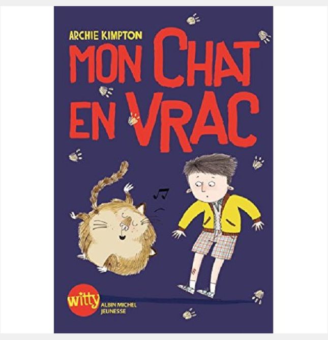 MON CHAT EN VRAC