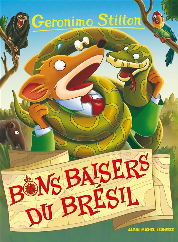 BONS BAISERS DU BRESIL