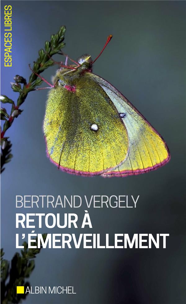 RETOUR A L'EMERVEILLEMENT