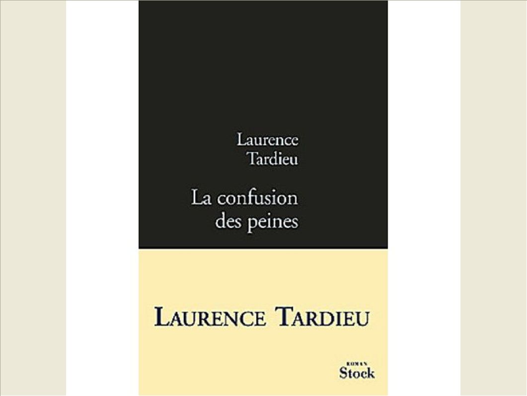 LA CONFUSION DES PEINES