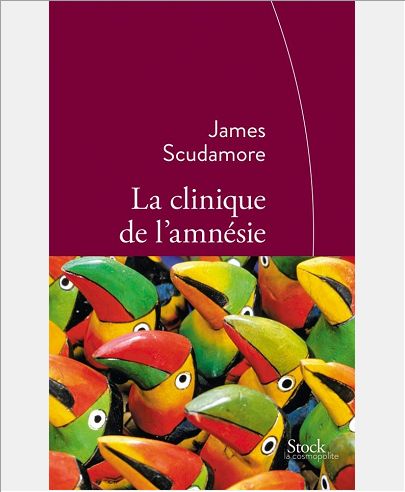 LA CLINIQUE DE L'AMNESIE - TRADUIT DE L'ANGLAIS PAR ANNE RABINOVITCH