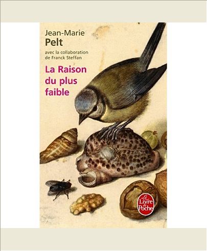 LA RAISON DU PLUS FAIBLE